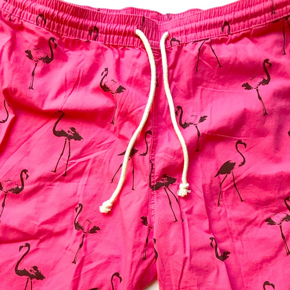 Pink Flamingo Board Shorts Swim Trunks New H&M